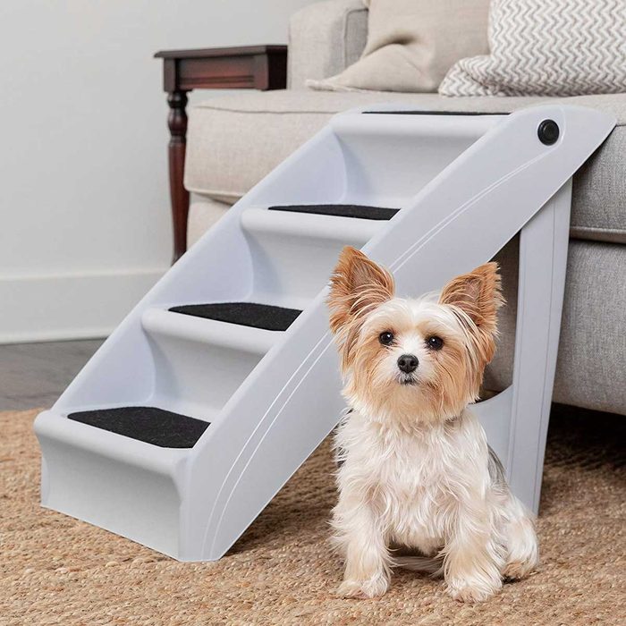 Pet ramp