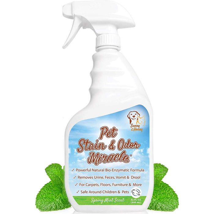 Pet stain remover