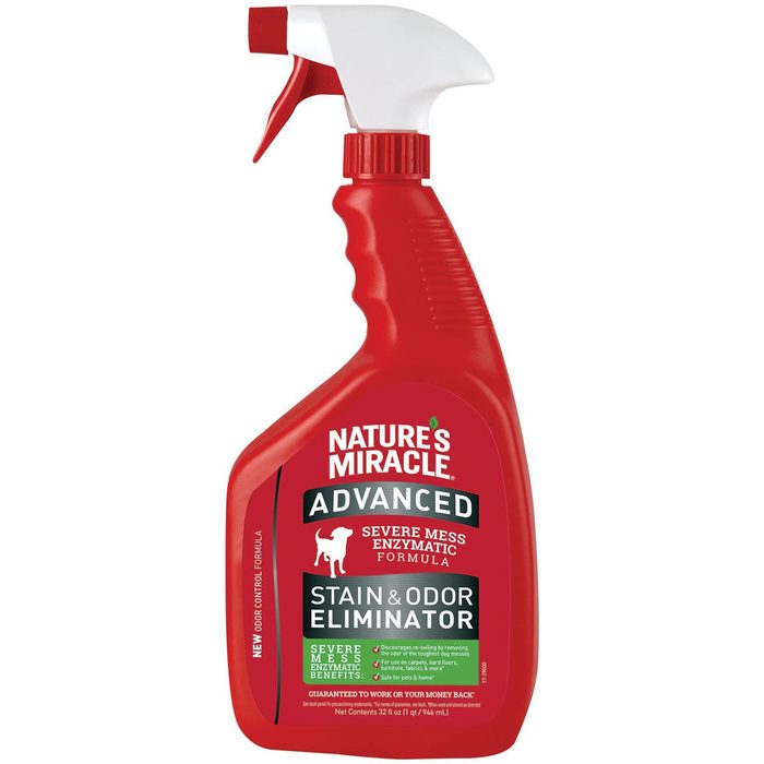 Pet stain remover