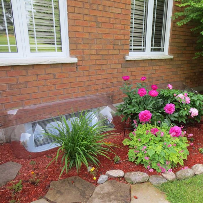 Window well cover