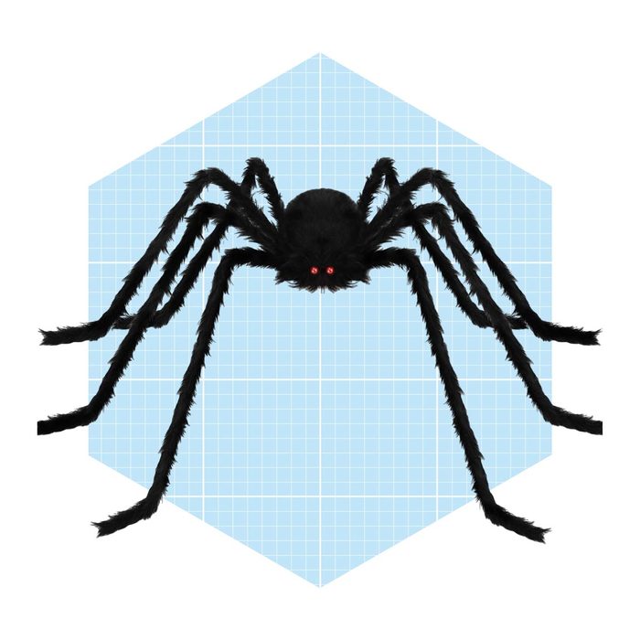 Giant 8 Foot Spider