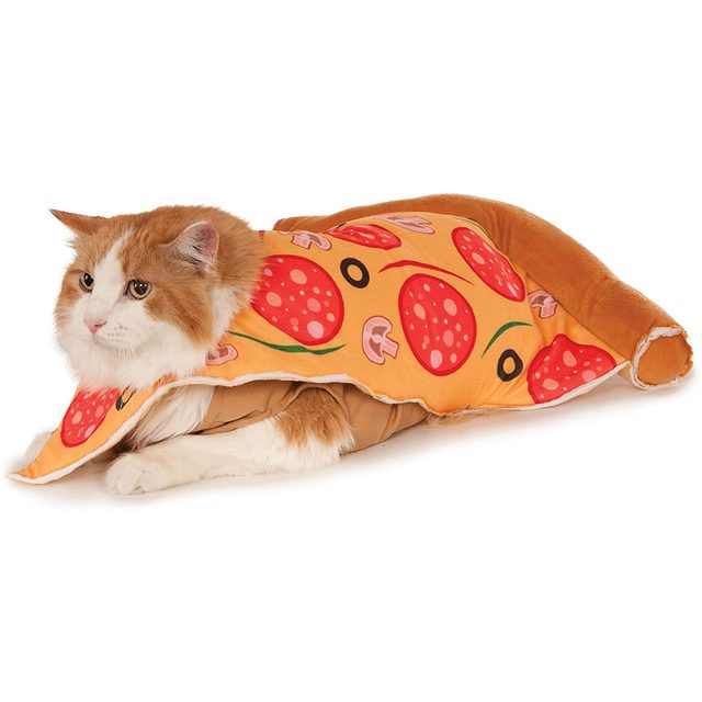 Pizza cat costume