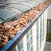 10 Handy Hints To Make Your Gutters Last Longer and Function Better