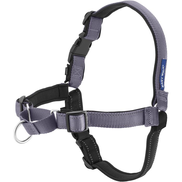 Dog harness