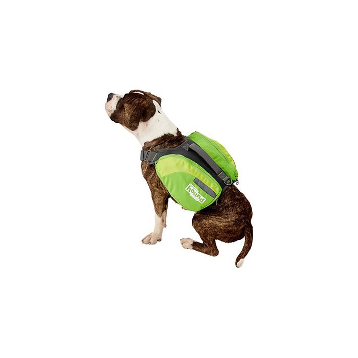 Dog harness