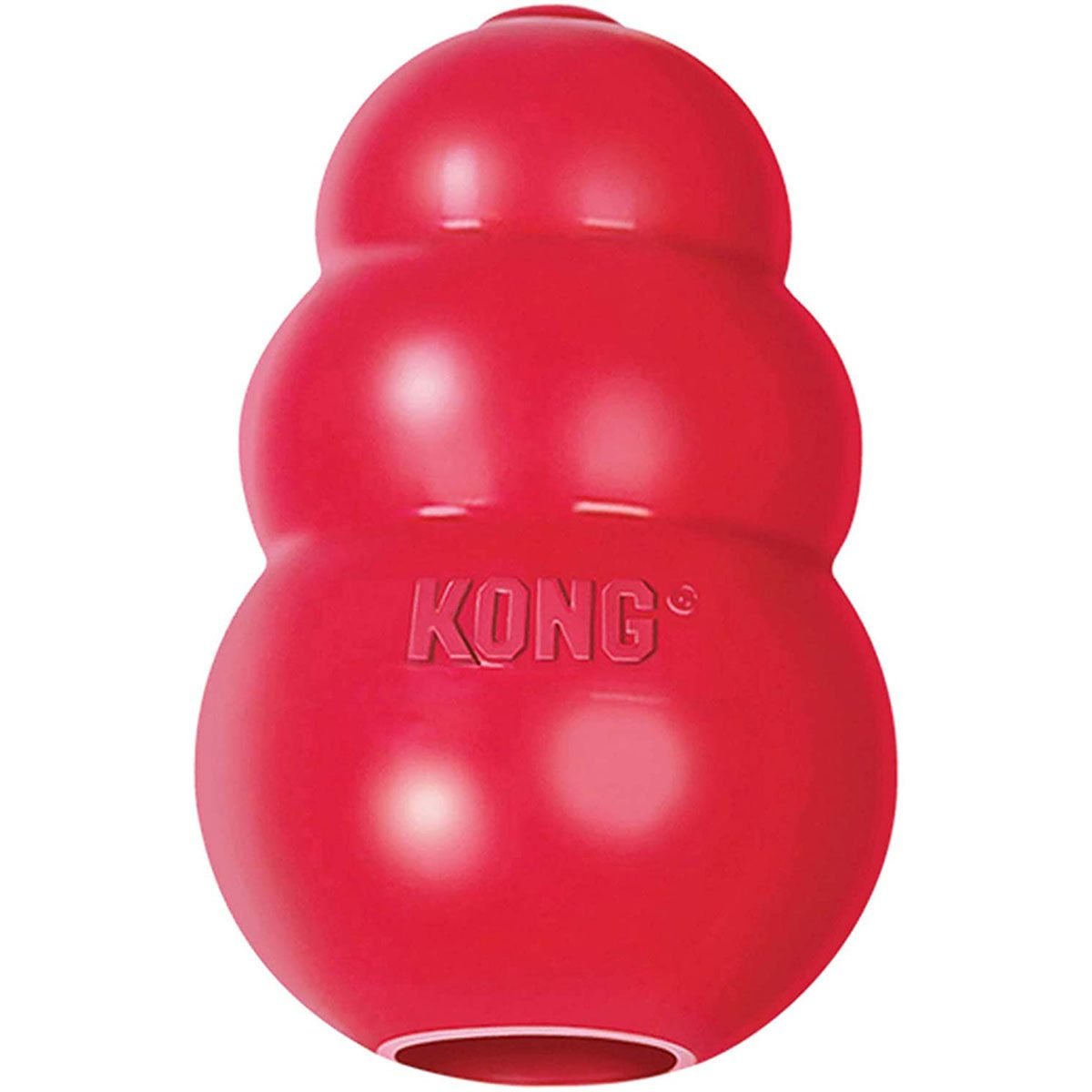 Kong dog toy