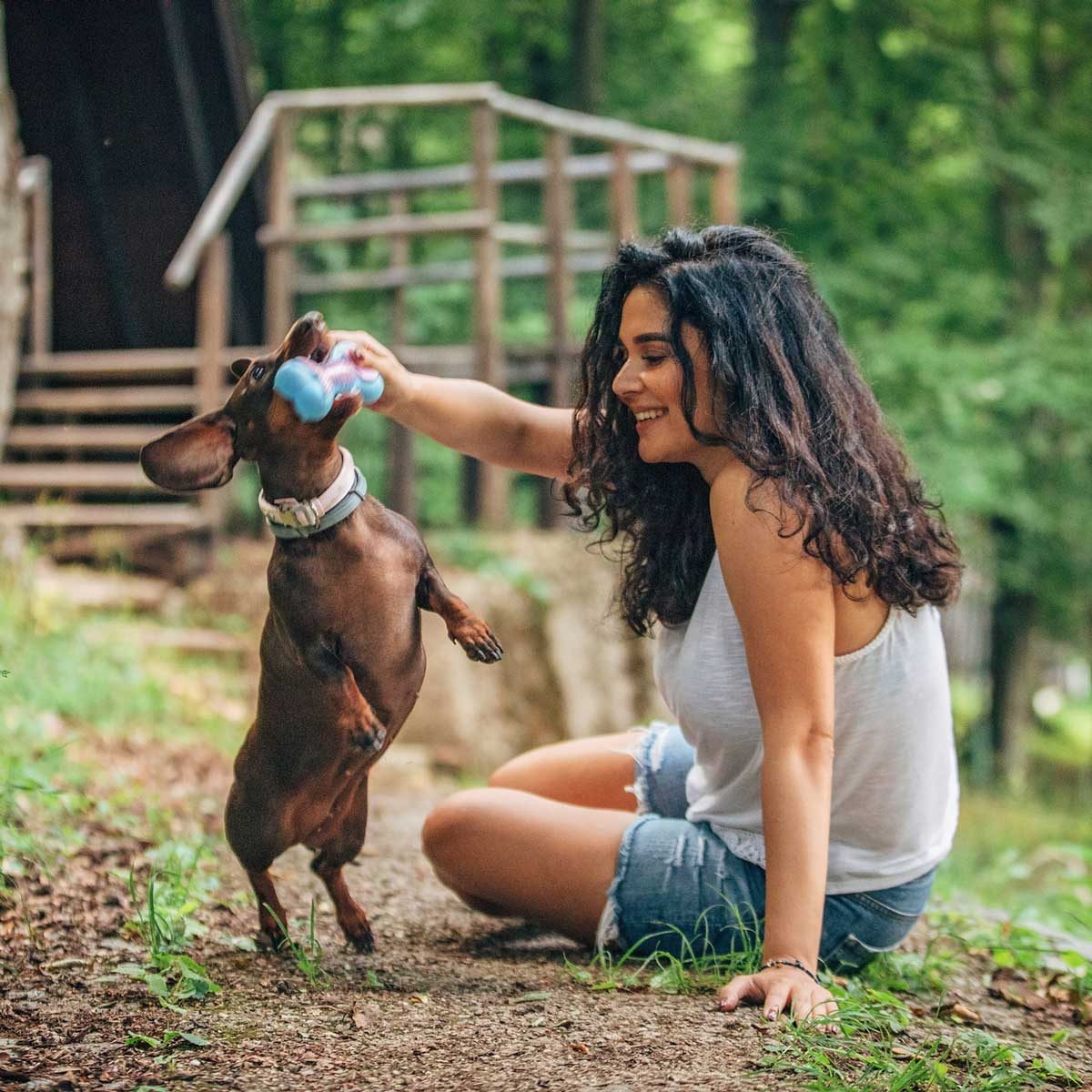 Woman playing with a dog