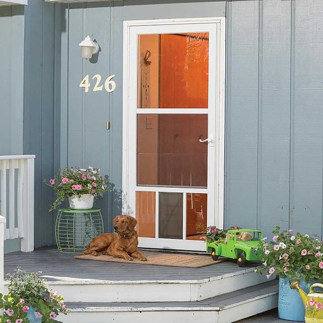 Storm door