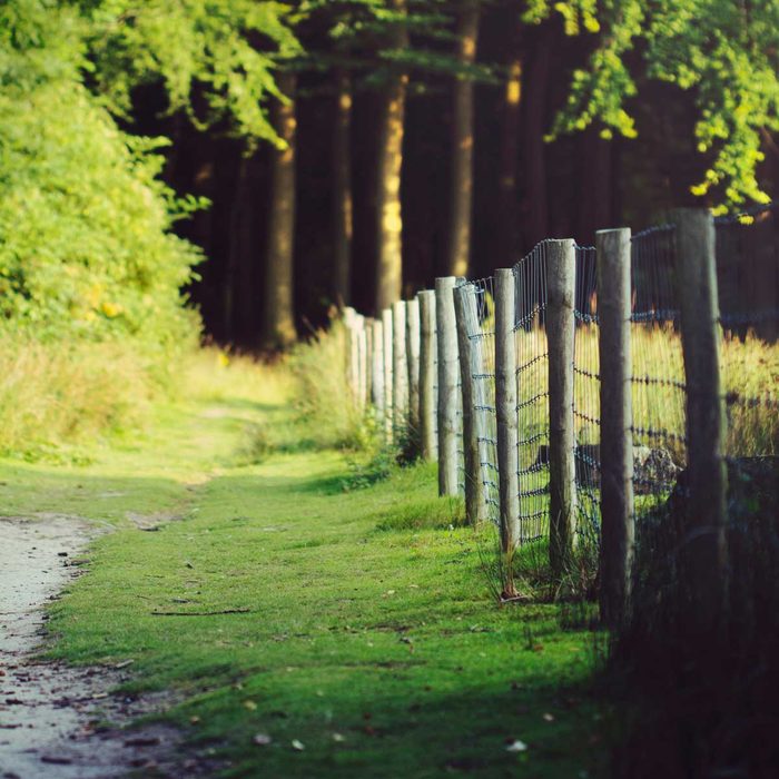 Wire fence with wood posts