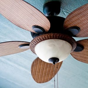ceilingfan