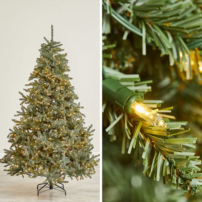 Balsam Hill Blue Spruce Tmb Studio