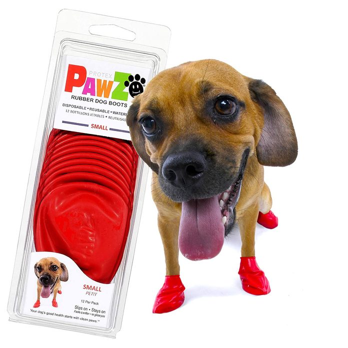 dog paw booties