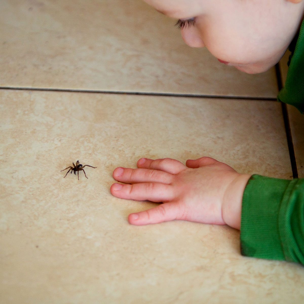 boy looking at spider