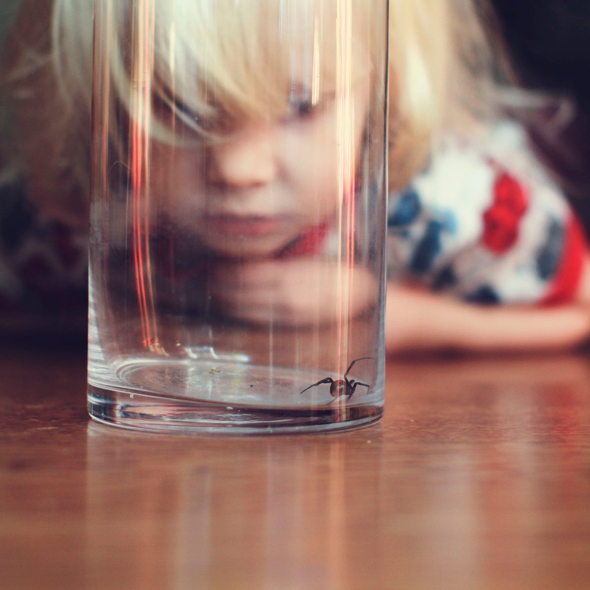 boy looking at spider