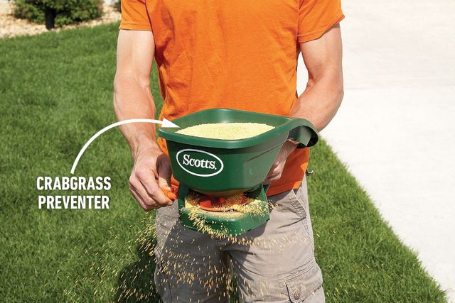 A person holding crabgrass preventer