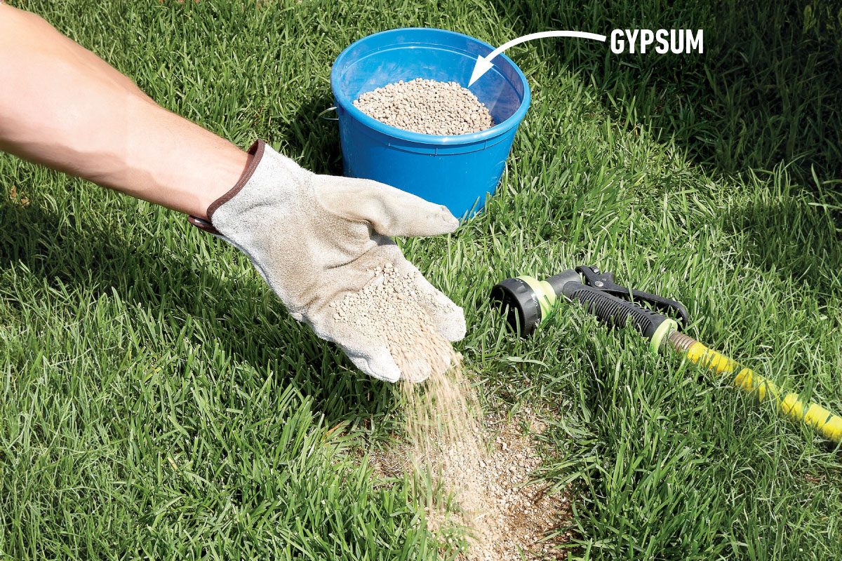 Spreading gypsum on a grass field