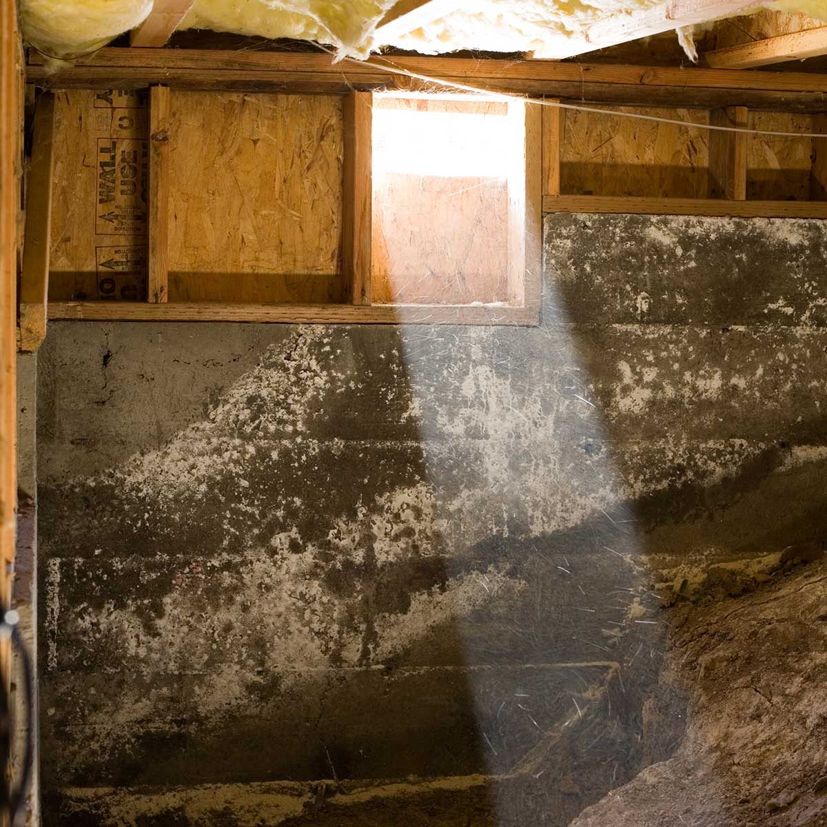 What You Need to Know About a Home’s Crawlspace