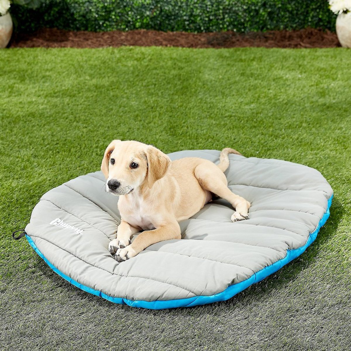 Chuckit! Travel Pillow Dog Bed Ecomm Chewy.com