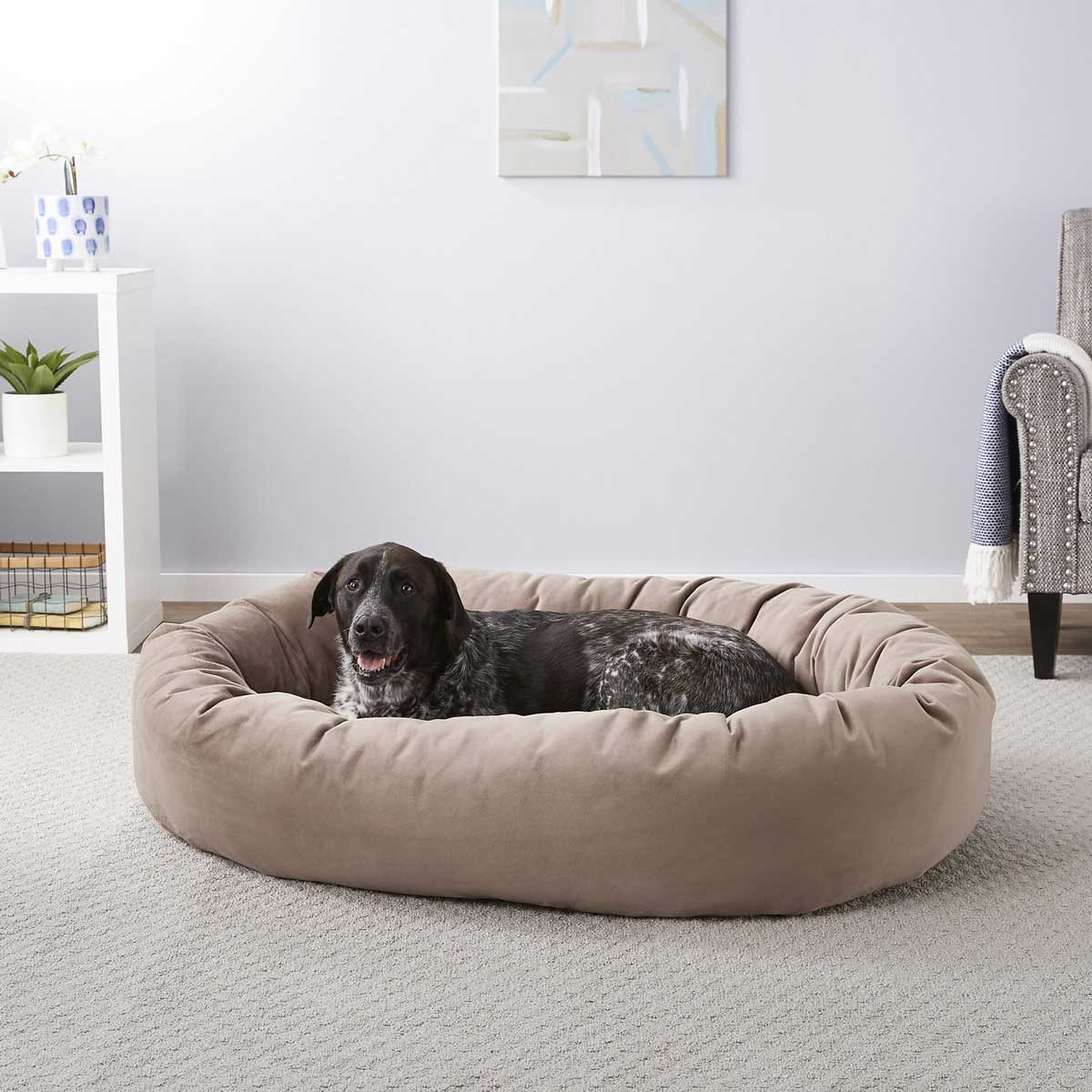 Dog Bed 165320 Main. Ac Sl1500 V1568211215 