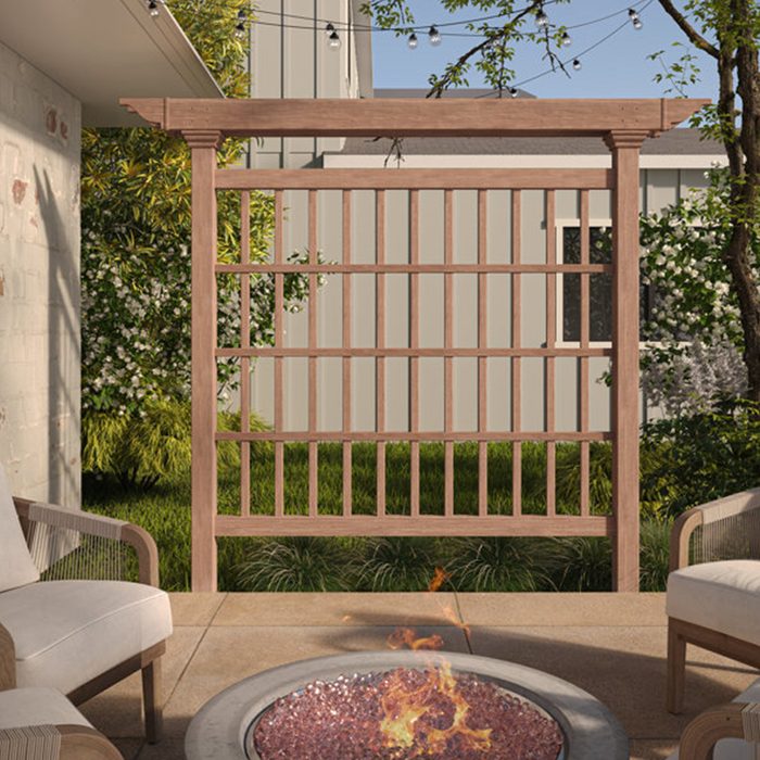 Backyard Trellis Privacy Screen