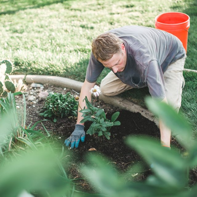 Landscaping