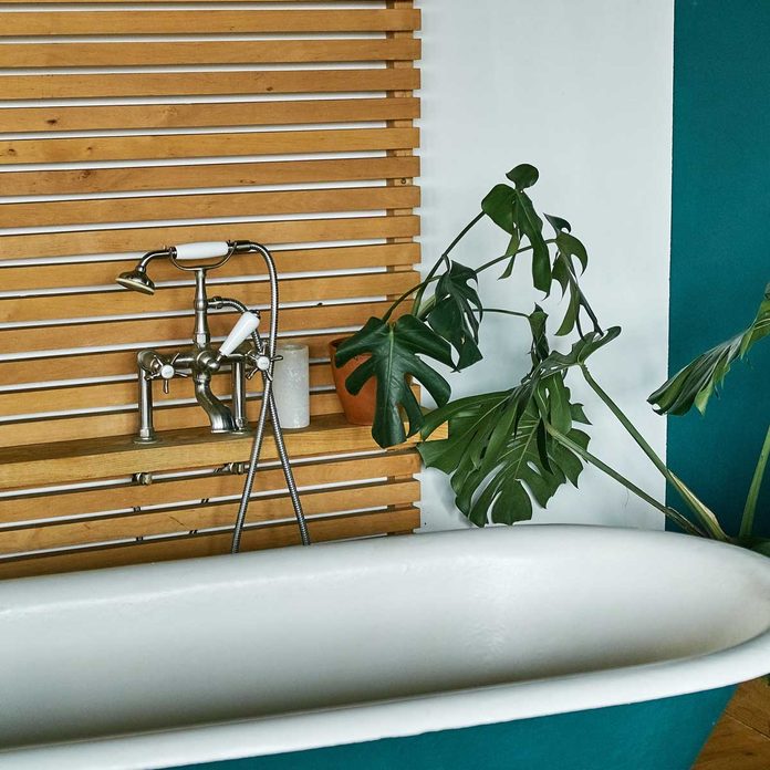 Bathroom Monstera Gettyimages 1197146425