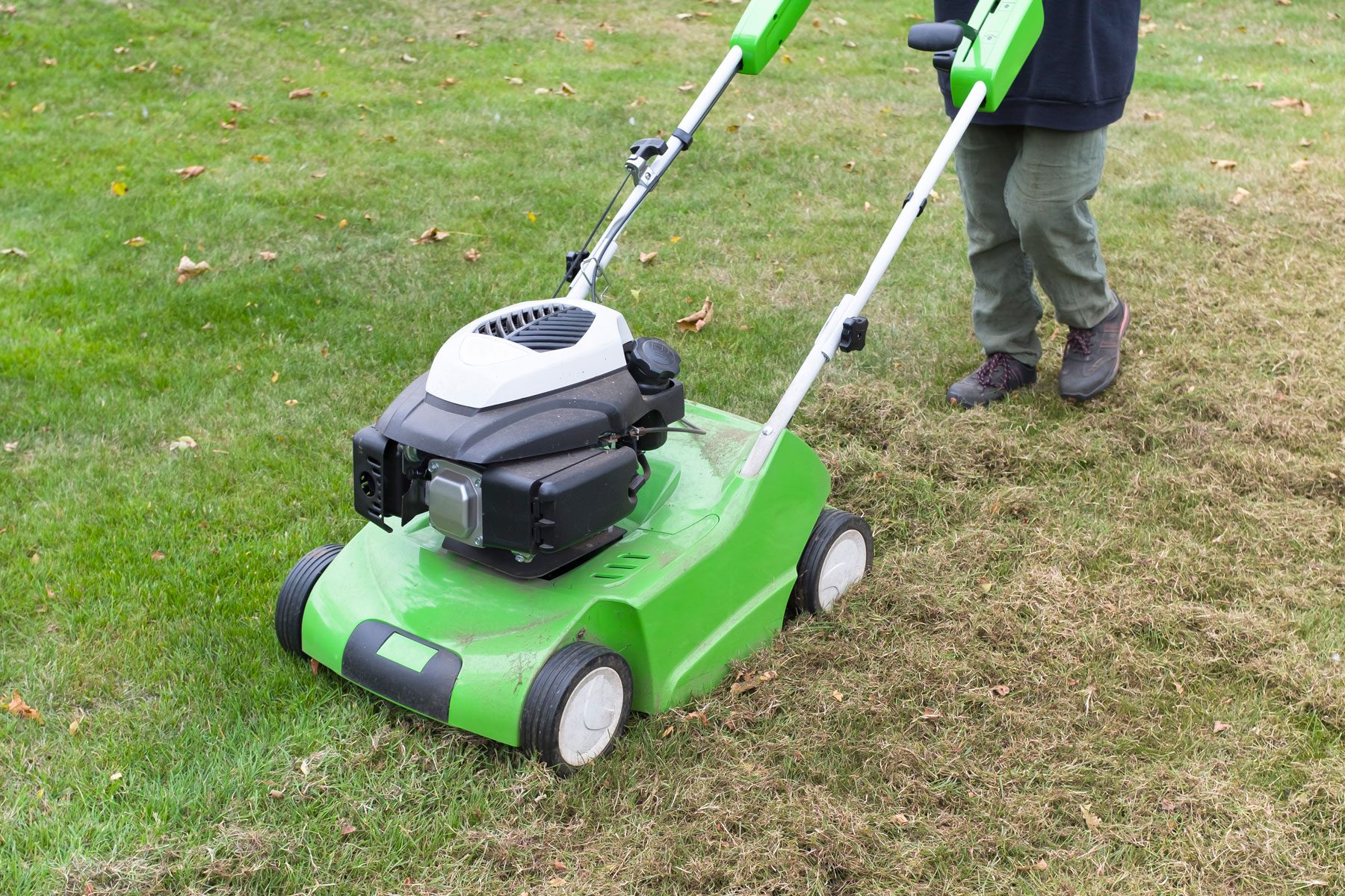 Scarifying lawn with a scarifier