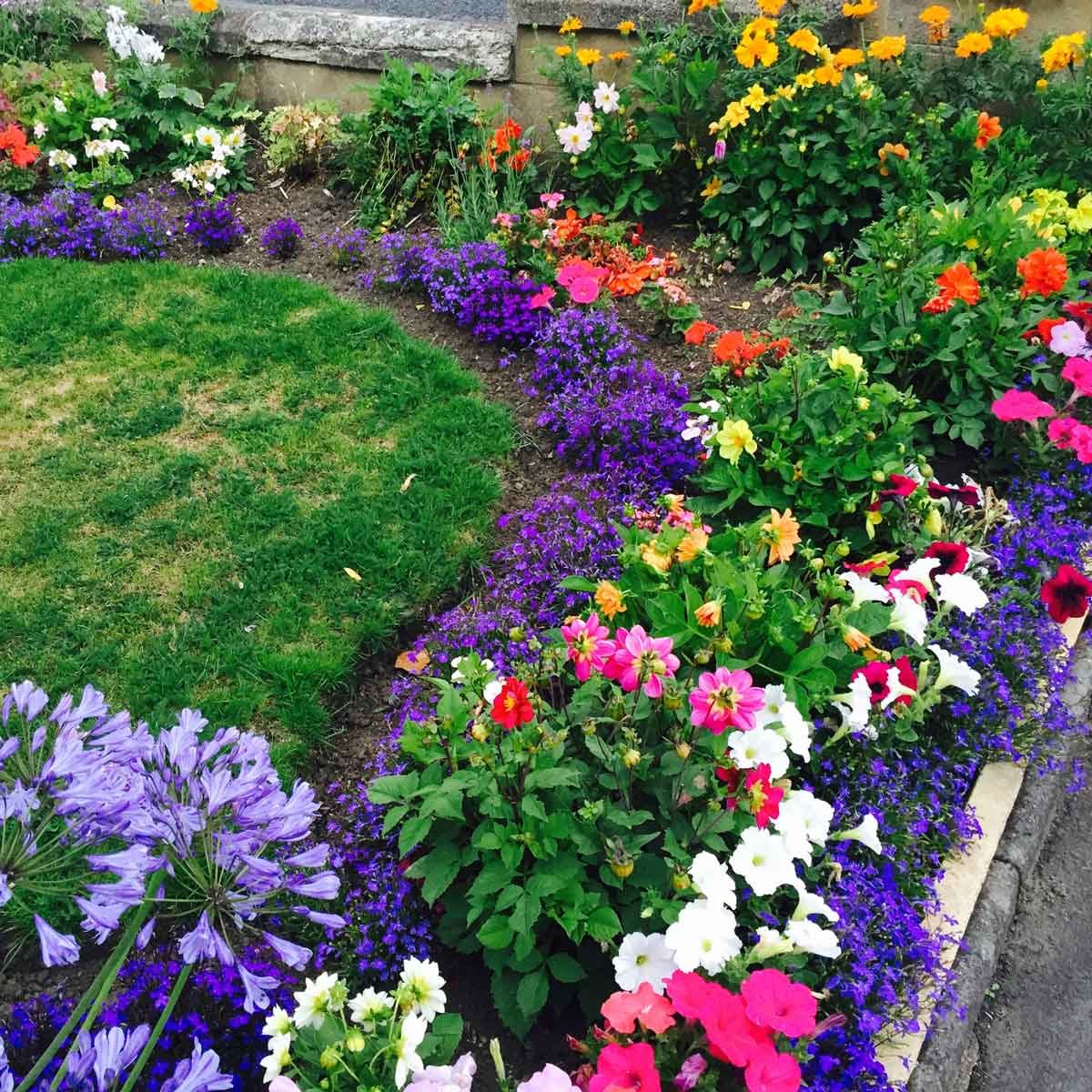 Flower Border