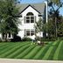 What To Know About Turf Grass