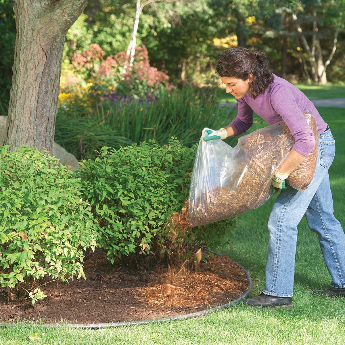 Applying Mulch