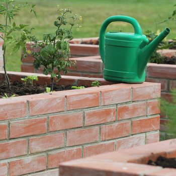 Raised Bed Garden Tomatoes