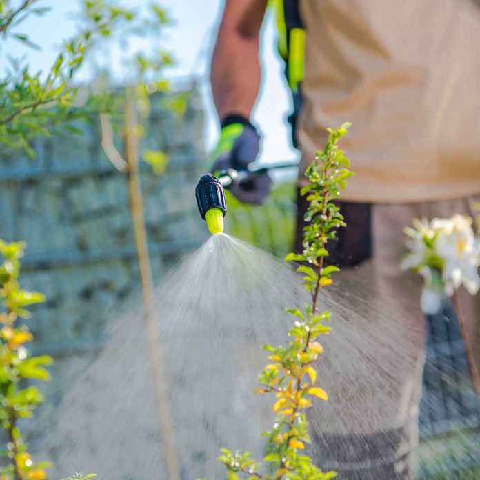 Spray Garden Chemicals