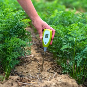 Testing Soil
