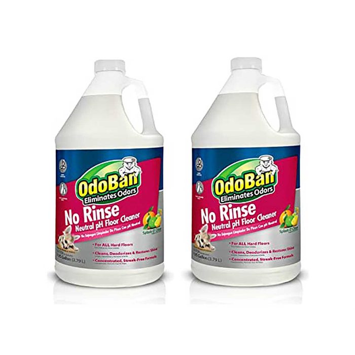 floor cleaner