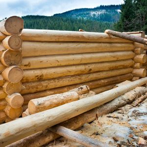 Building A Log Cabin Gettyimages 510404730