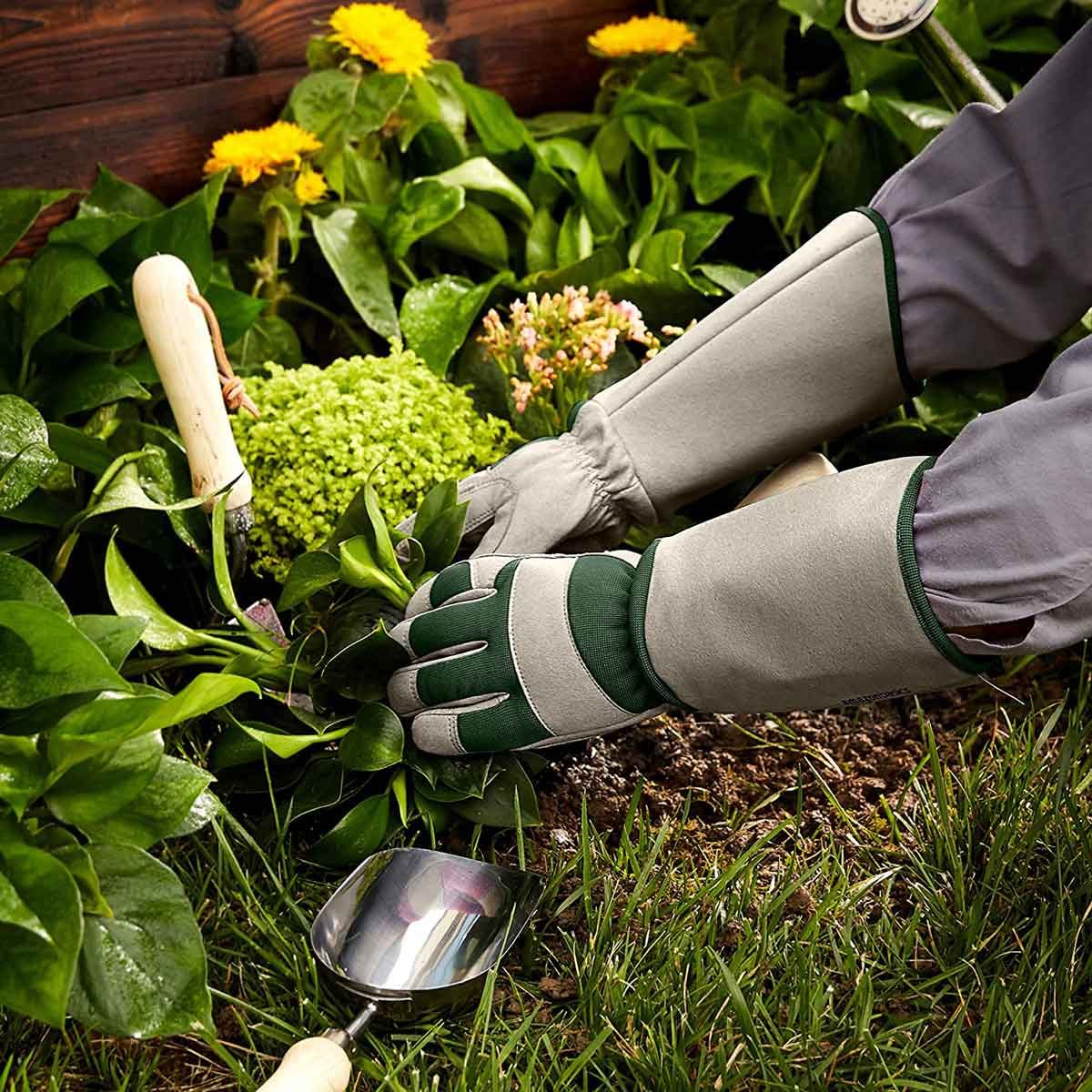 Garden Gloves