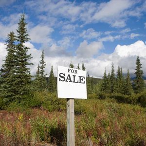 Lot For Sale Gettyimages 200477280 001