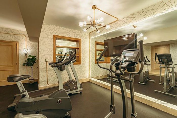 Luxurious Home Gym