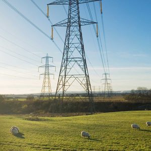 Power Lines