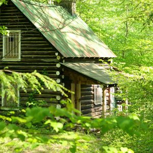 Spring Cabin