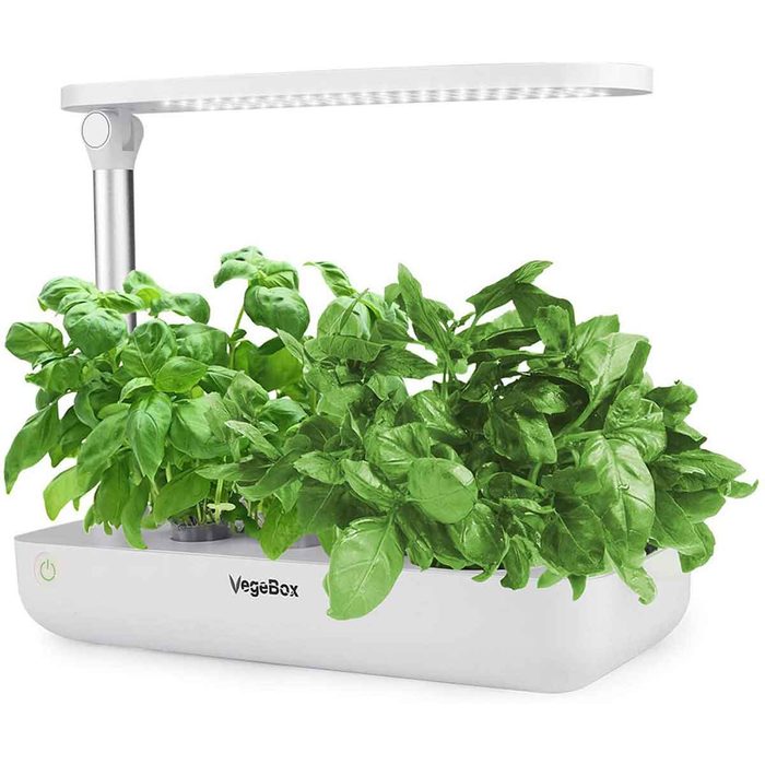 hydroponics growing system