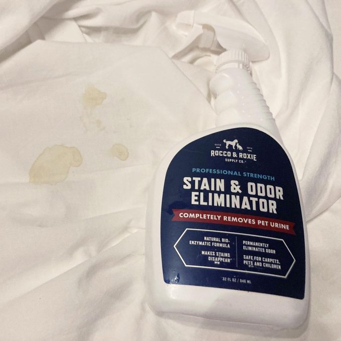 Rocco & Roxie Oxy Stain Remover next to a stain