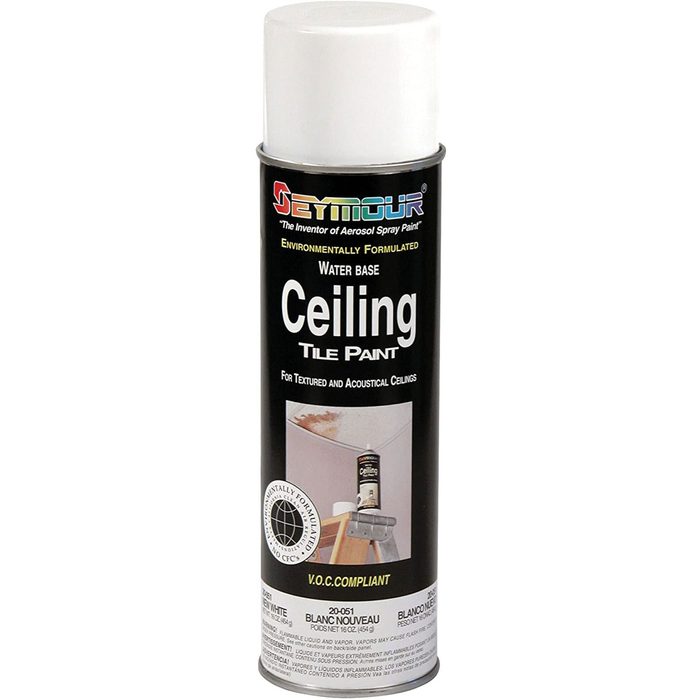 Ceiling Paint