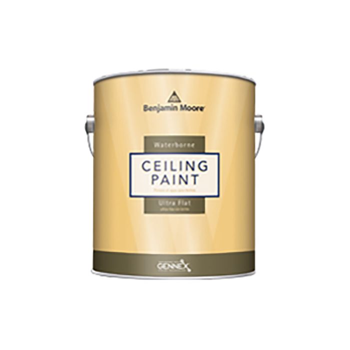 Ceiling Paint