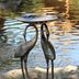 15 Best Birdbaths and Fountains for Feathered Friends