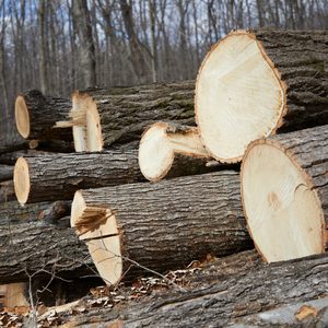 Logs