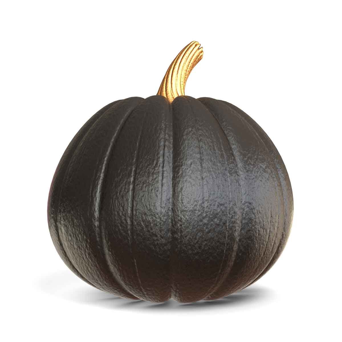 Black Gold Pumpkin 