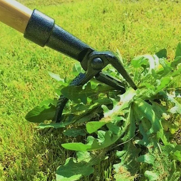 Grampa's Weeder Ecomm Acehardware.com