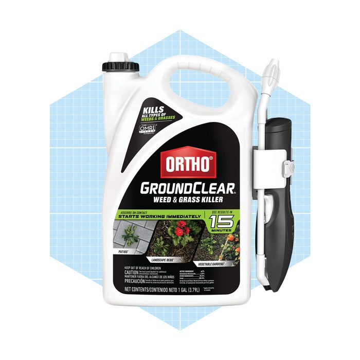 Ortho Groundclear Weed & Grass Killer