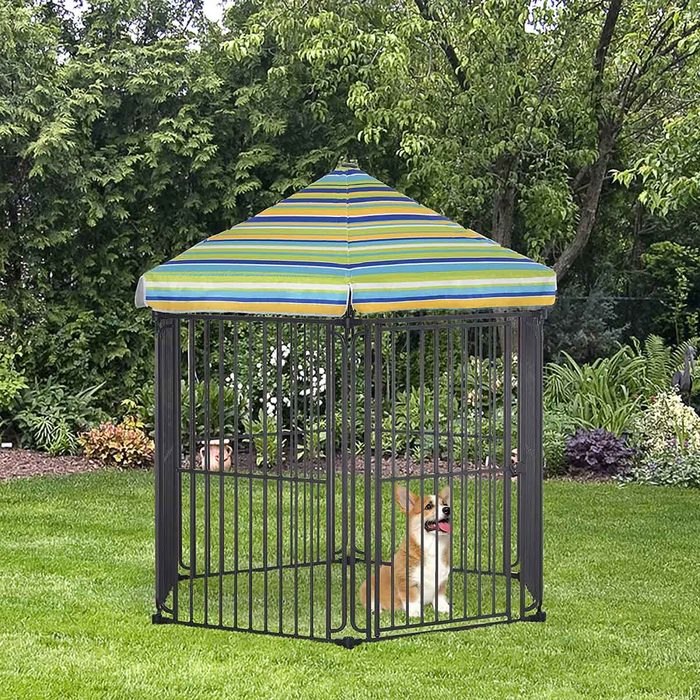 Dog Kennel